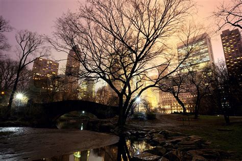 Central Park Og New Yorks Skyline I Tåge Stock Foto Colourbox