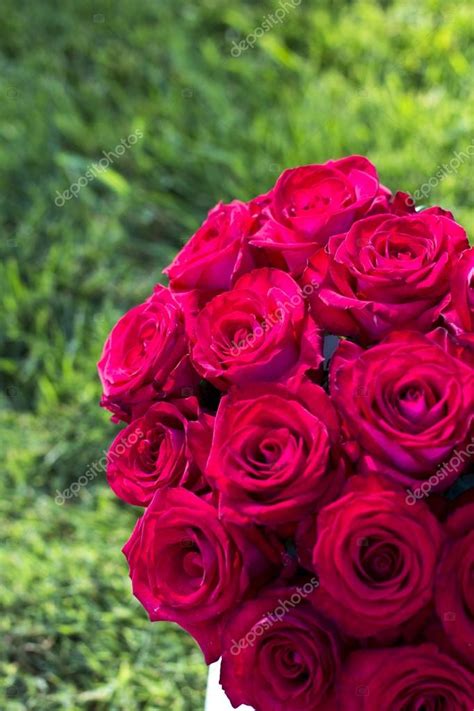 Bouquet Of Red Roses — Stock Photo © Julialototskaya 102291352