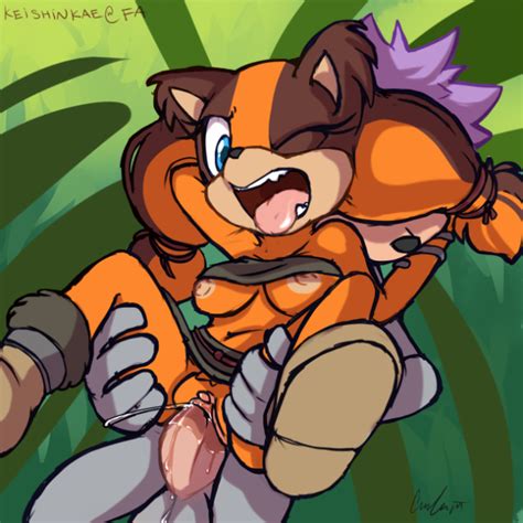 Sticks The Badger The Newest Character From Sonic Boom Rule34