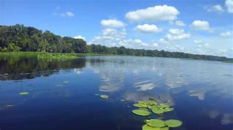 Kayaking On Lake George Florida Youtube