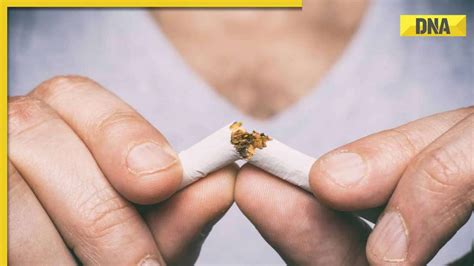 World No Tobacco Day Does Smoking Affect Female And Male Fertility