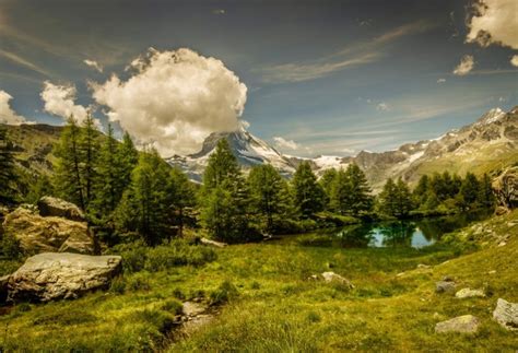 Scenery Photography Backdrops A Mountain Stream Landscape Background Sale