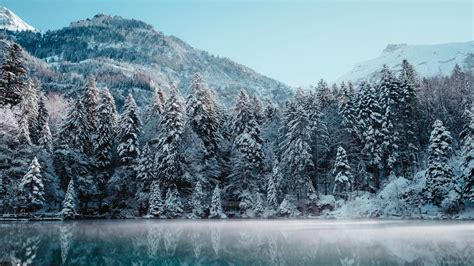 Wallpaper Switzerland Winter Reflection Forest