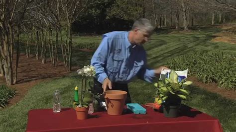 Georgia Gardener Walter Reeves Shares Three Great Tips For Caring For