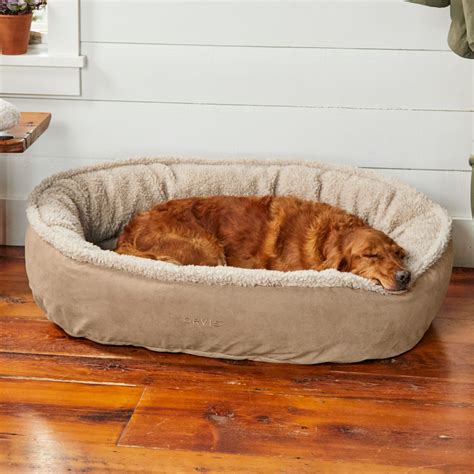 Orvis Memory Foam Bolster Dog Bedlarge Dogs 60 90 Lbs Free Shipping