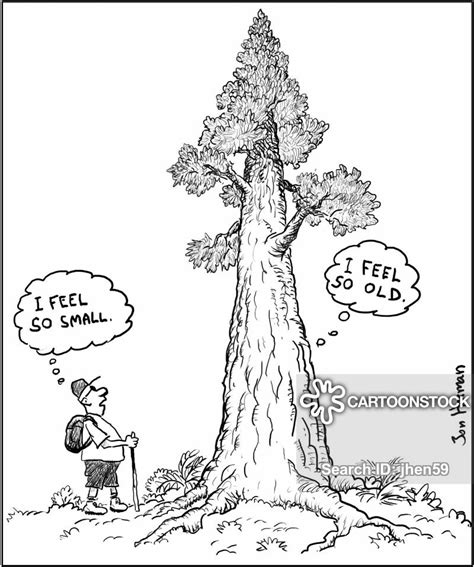Old Tree Cartoons And Comics Funny Pictures From Cartoonstock
