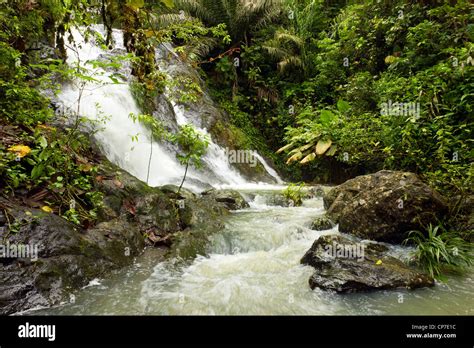 Waterfall In Rainforest In The Choco Biological Region In Western