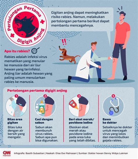 Pertolongan Pertama Digigit Anjing Cegah Rabies Infografis
