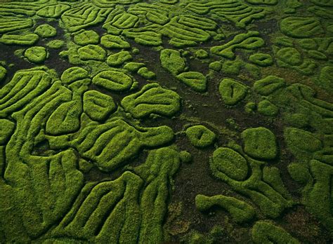 Beautiful Patterns In Nature From National Geographic Part 1 74 Pics