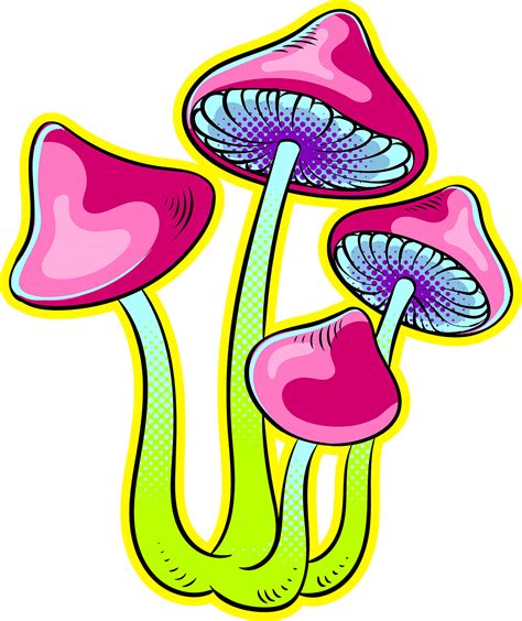 Are Magic Mushrooms And Sclerotia Truffles Legal In Florida Highlife