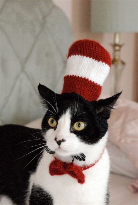29 Costumes For Cats That Your Cat Will Definitely Wont Want To Wear