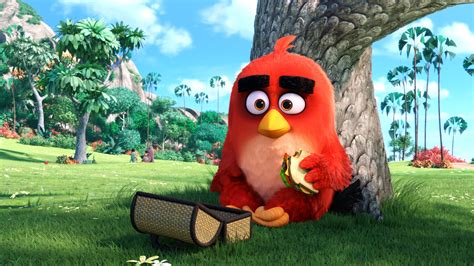 Red Angry Birds Movie Wallpapers Hd Wallpapers Id 17098
