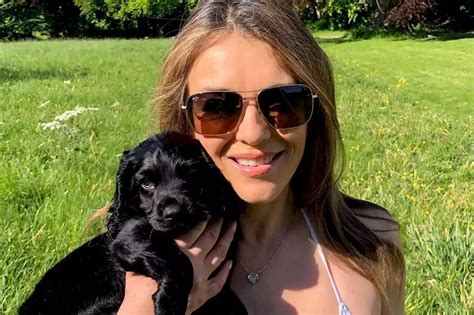 Elizabeth Hurley Dazzles Fans As She Cuddles New Puppy In A Shimmering