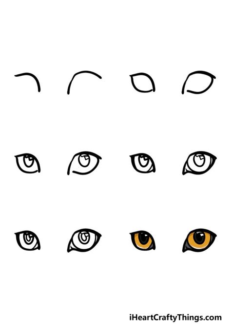 Cat Eyes Drawing How To Draw Cat Eyes Step By Step