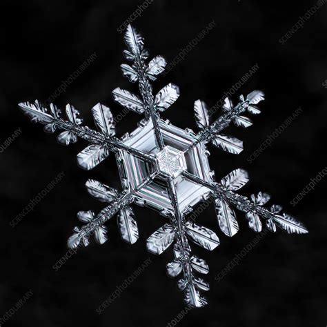 Snowflake Stock Image C0285878 Science Photo Library