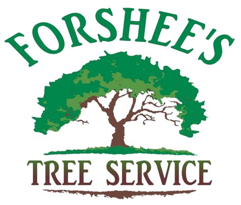 Contact Us Forshees Tree Services