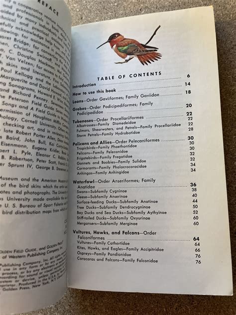 Vintage 1966 Golden A Guide To Field Identification Birds Of North