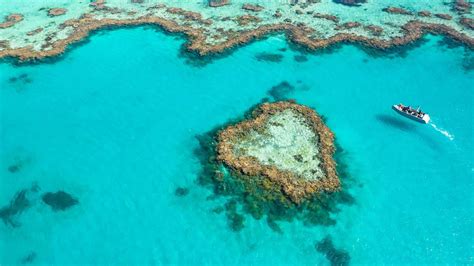 Heart Island Ultimate Luxury Getaway 5d4n Great Barrier Reef Luxury