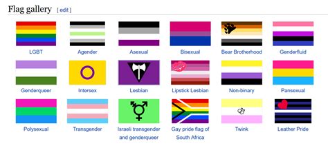 All Lgbtq Flags And Meanings A Field Guide To Pride Flags These Free