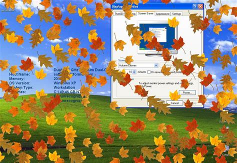 Falling Autumn Leaves Screen Saver Latest Version Get Best Windows