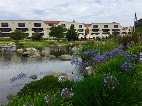Courtyard By Marriott San Diego Rancho Bernardo Pool Pictures And Reviews