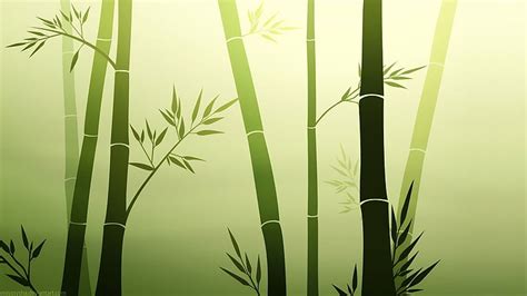 Page 2 Bamboo 1080p 2k 4k 5k Hd Wallpapers Free Download
