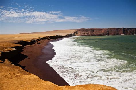 Paracas National Reserve Complete Travel Guide Peru For Less
