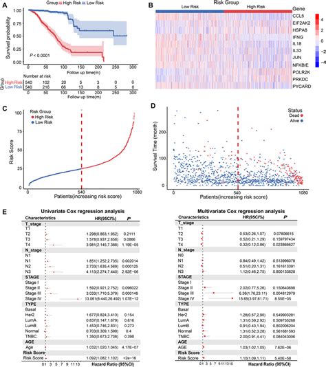 Frontiers Development Of A Risk Model To Predict Prognosis In Breast