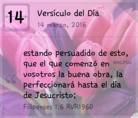 Versículo Del Día Filipenses 16 Rv1960 El Versículo Del Día