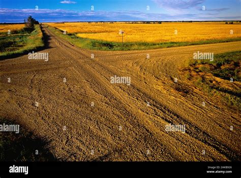 Landscape Dirt Road Hi Res Stock Photography And Images Alamy