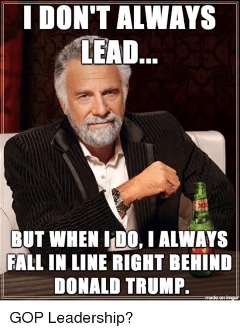 I Dont Always Lead But When Idoialways Fall In Line Right Behind