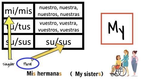 Possessive Adjectives In Spanish For Beginners How To Say My Your