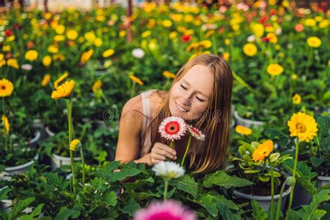 A Young Woman At A Gerbera Farm Flower Cultivation In Greenhouses A