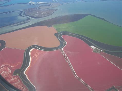 Baie De San Francisco — Wikipédia Salt Ponds Amazing Nature