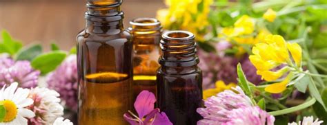 The Best Massage Oils Aromatherapy Massages Holland And Barrett