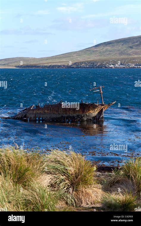 Partially Submerged Ship Wreck At New Island West Falklands Stock