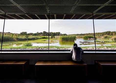 X Architects Creates Bird Watching Facility At Uae Nature Reserve