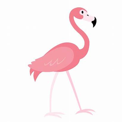 Flamingo Animated Transparent Clipart Happy Orleans Birthday