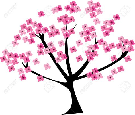 Cherry Blossom Clipart Free Download On Clipartmag