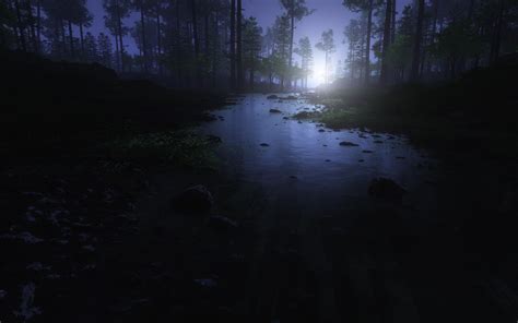 Forest At Night Wallpapers Top Free Forest At Night Backgrounds