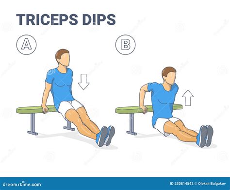 Man Doing Bench Triceps Dips Workout Exercise Guide Colorful Concept