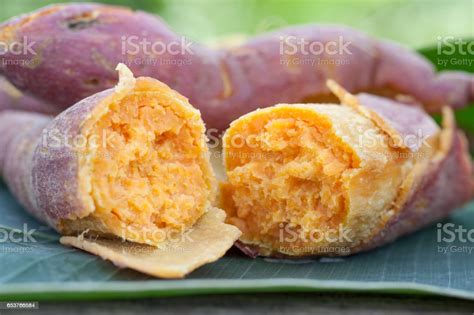 Yellow Sweet Potato Stock Photo Download Image Now Agriculture