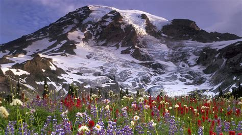 Beautiful Pictures Of Nature Snow Capped Mountains Blooming Flowers