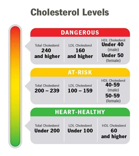 Understanding Cholesterol Levels And Numbers 2022