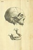 Pin by My Info on vintage medical illustrations | Human figure drawing ...