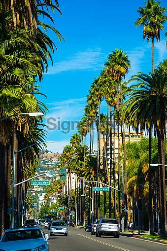 Beverly Hills Doheny Drive Street Scene Portrait Orientation 이미지