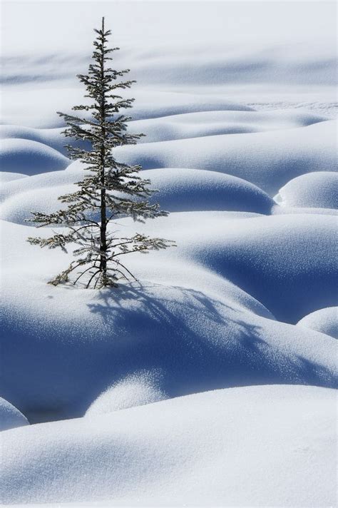 Beautiful Snow Scenes ~ Snow Pics Pinterest