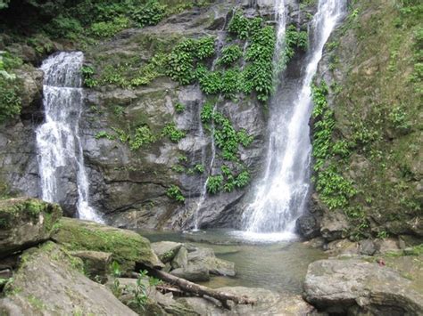 Tamaraw Waterfalls Puerto Galera 2020 Ce Quil Faut Savoir Pour