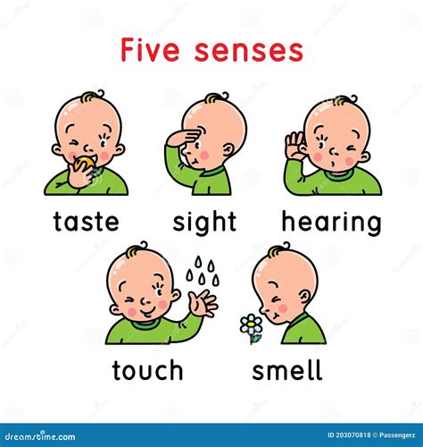 Five Senses Icon Touch Taste Hearing Sight Smell Stock Vector