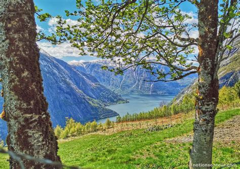 Eidfjord A Hidden Gem Of Norway Notions On Tour